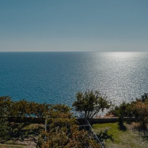 DJI_0082-min